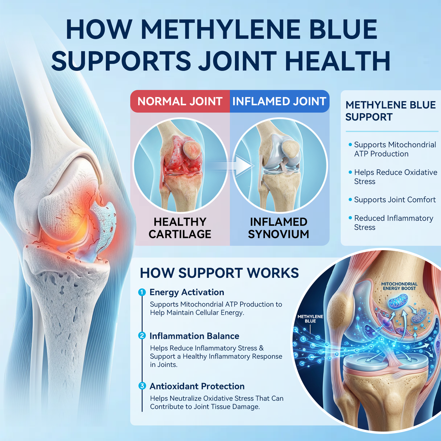 Methylene Blue Gummies.Move Easier. Feel Lighter. Live Freer